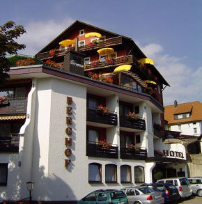 Panoramahotel Berghof